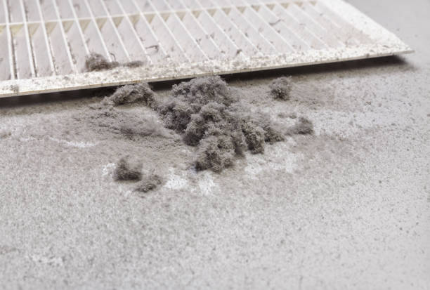 Best Affordable HVAC Duct Cleaning  in Tega Cay, SC