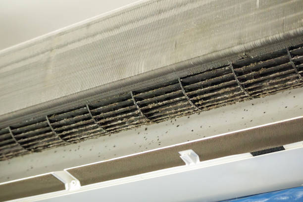 Best Residential Air Duct Cleaning  in Tega Cay, SC